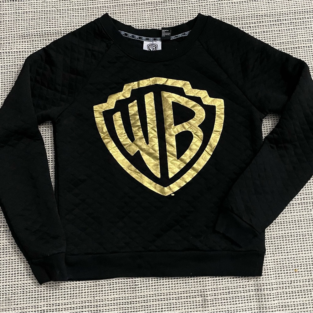 EUC Warner Brothers By Forever 21 sweater